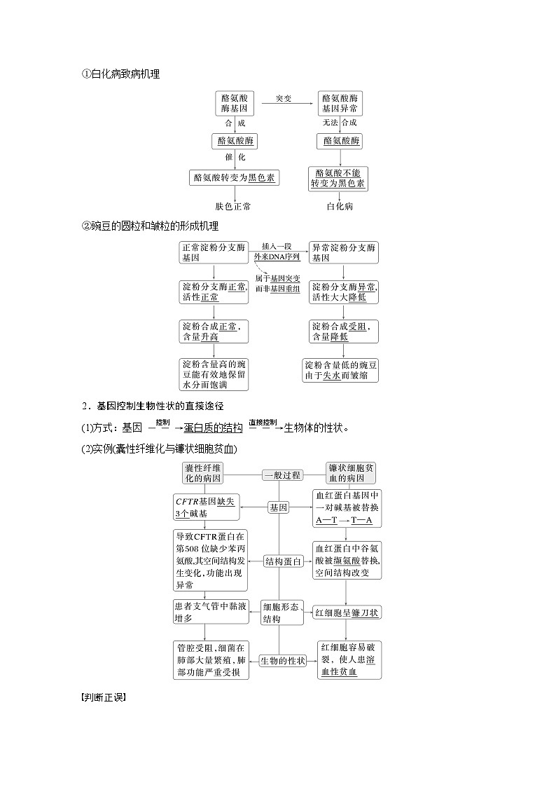 第六单元　第32课时　基因表达与性状的关系-2025年高考生物大一轮复习（课件+讲义+练习）教师版第2页