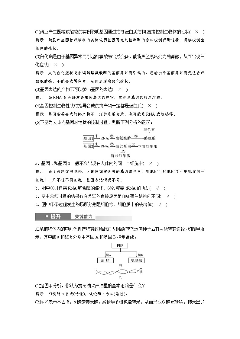 第六单元　第32课时　基因表达与性状的关系-2025年高考生物大一轮复习（课件+讲义+练习）教师版第3页