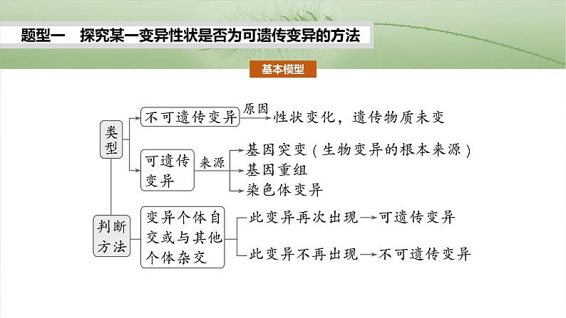 第七单元　专题突破9　聚焦变异热点题型第5页