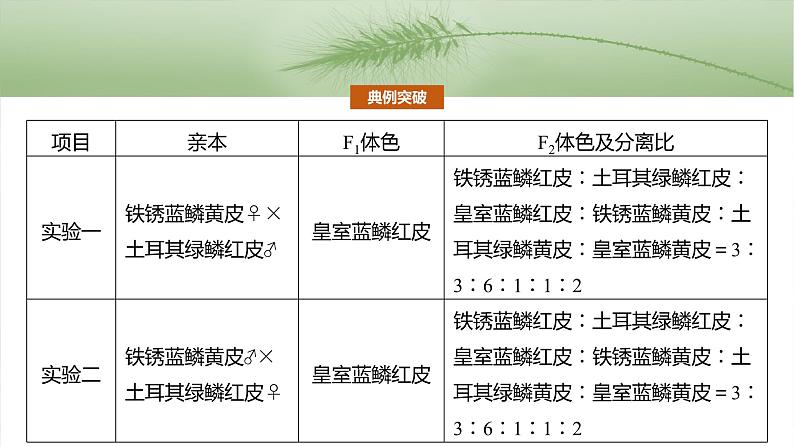 第七单元　专题突破9　聚焦变异热点题型第7页