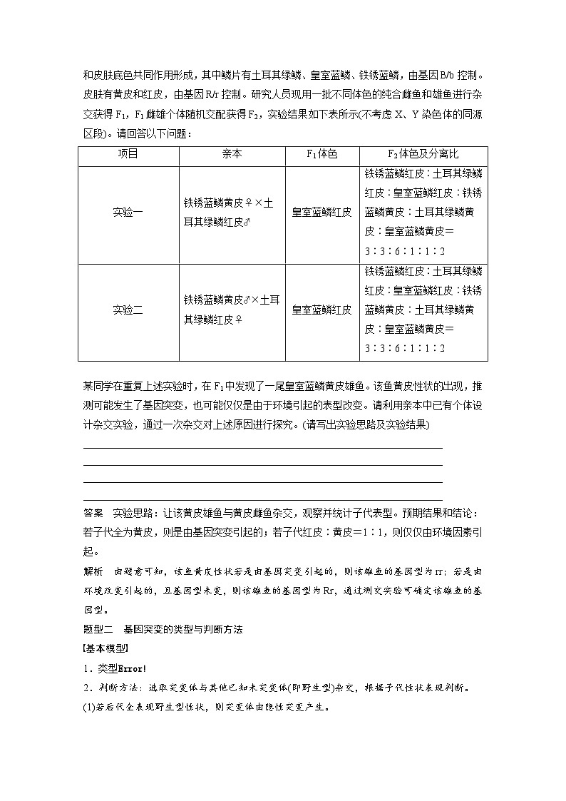 第七单元　专题突破9　聚焦变异热点题型-2025年高考生物大一轮复习（课件+讲义+练习）教师版第2页