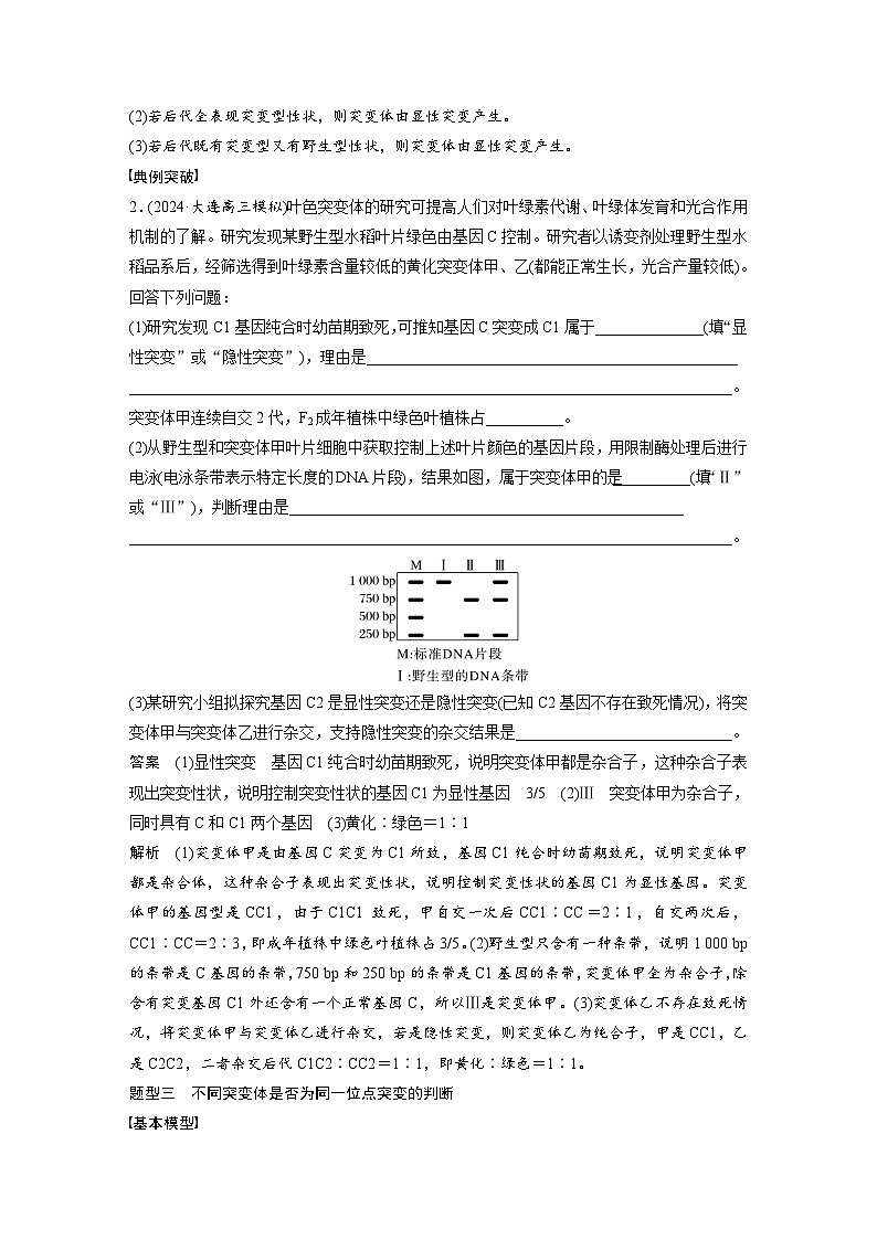 第七单元　专题突破9　聚焦变异热点题型-2025年高考生物大一轮复习（课件+讲义+练习）教师版第3页