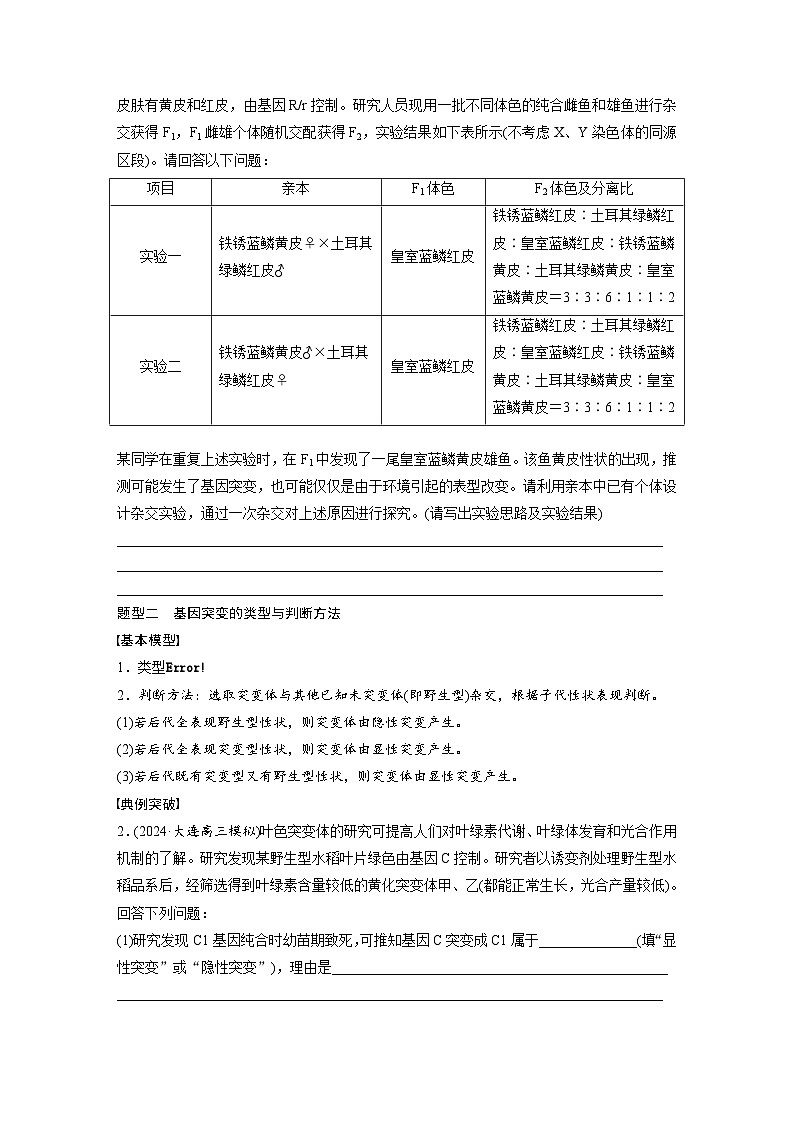 第七单元　专题突破9　聚焦变异热点题型-2025年高考生物大一轮复习（课件+讲义+练习）学生版第2页
