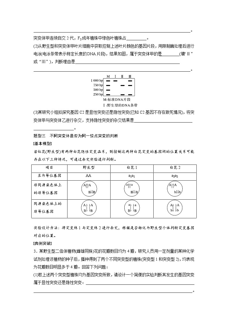 第七单元　专题突破9　聚焦变异热点题型-2025年高考生物大一轮复习（课件+讲义+练习）学生版第3页