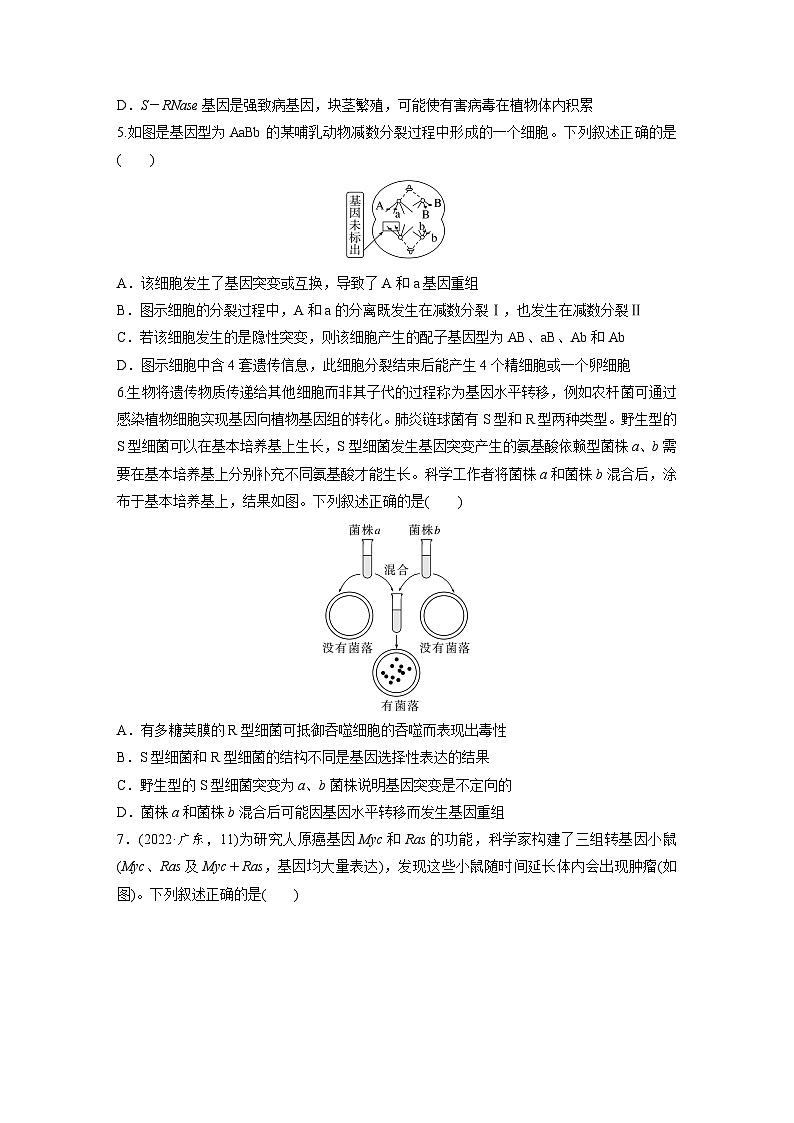 第六单元　课时练33　基因突变和基因重组-2025年高考生物大一轮复习（课件+讲义+练习）专练第3页