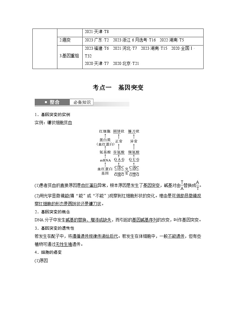 第七单元　第33课时　基因突变和基因重组-2025年高考生物大一轮复习（课件+讲义+练习）教师版第2页