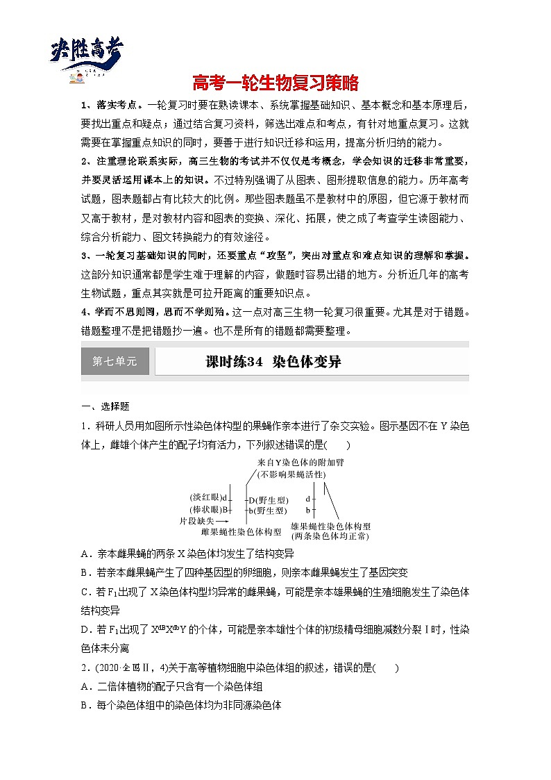 第七单元　课时练34　染色体变异-2025年高考生物大一轮复习（课件+讲义+练习）专练第1页