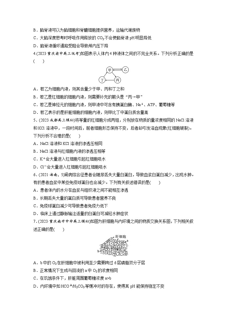 第八单元　第36课时　人体的内环境与稳态-2025年高考生物大一轮复习（课件+讲义+练习）02