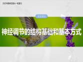 第八单元　第37课时　神经调节的结构基础和基本方式-2025年高考生物大一轮复习（课件+讲义+练习）