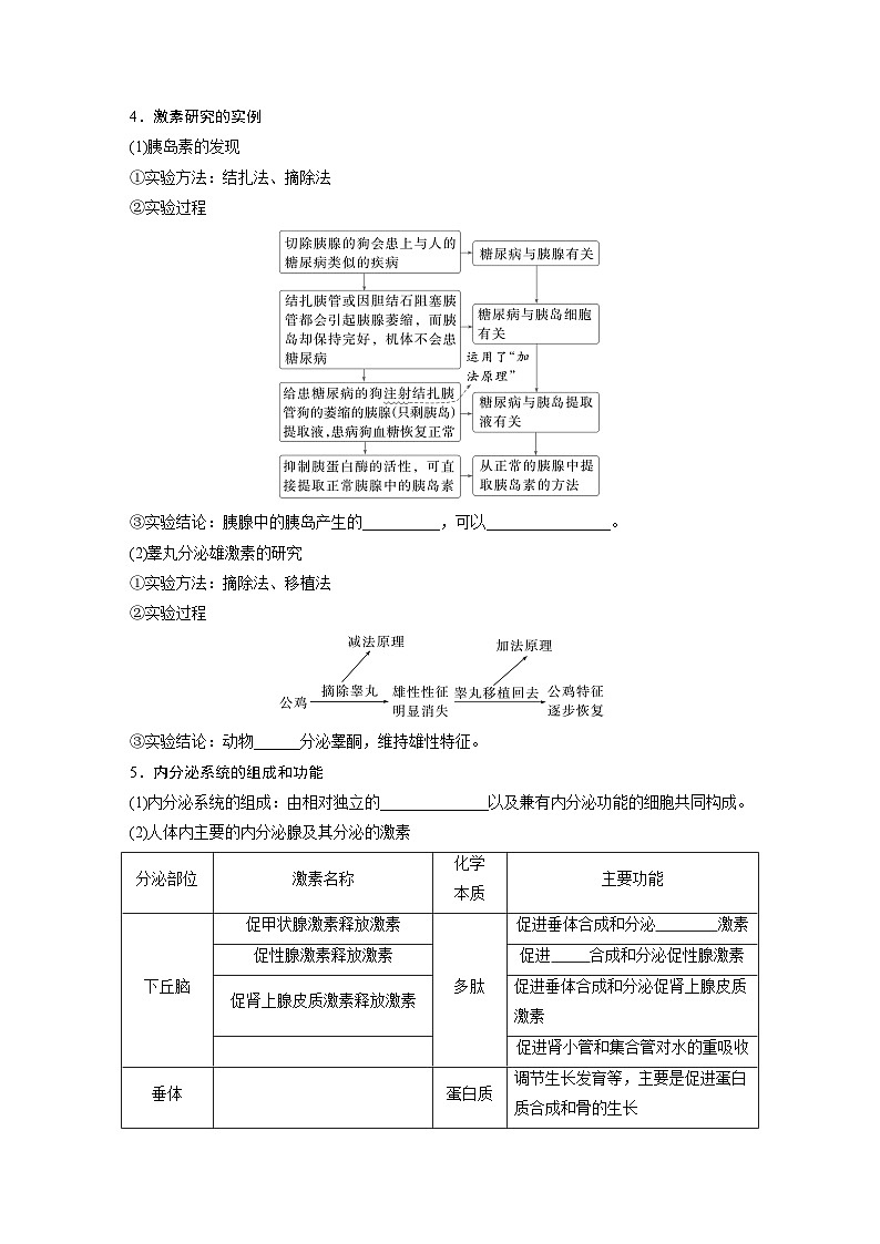 第八单元　第40课时　激素与内分泌调节及激素调节的过程-2025年高考生物大一轮复习（课件+讲义+练习）03