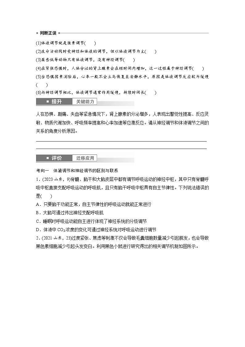 第八单元　第41课时　体液调节与神经调节的关系-2025年高考生物大一轮复习（课件+讲义+练习）03