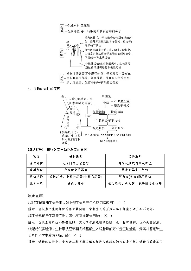 第八单元　第44课时　植物生长素-2025年高考生物大一轮复习（课件+讲义+练习）03
