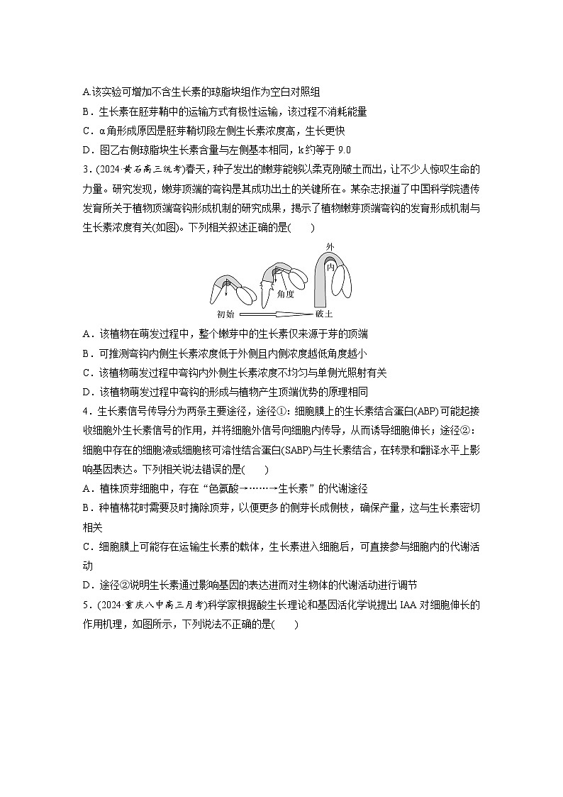 第八单元　第44课时　植物生长素-2025年高考生物大一轮复习（课件+讲义+练习）02