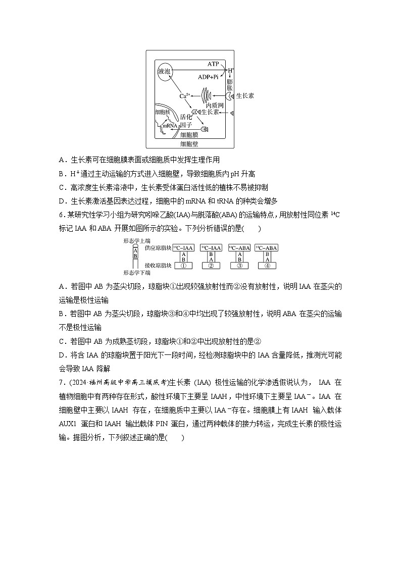 第八单元　第44课时　植物生长素-2025年高考生物大一轮复习（课件+讲义+练习）03