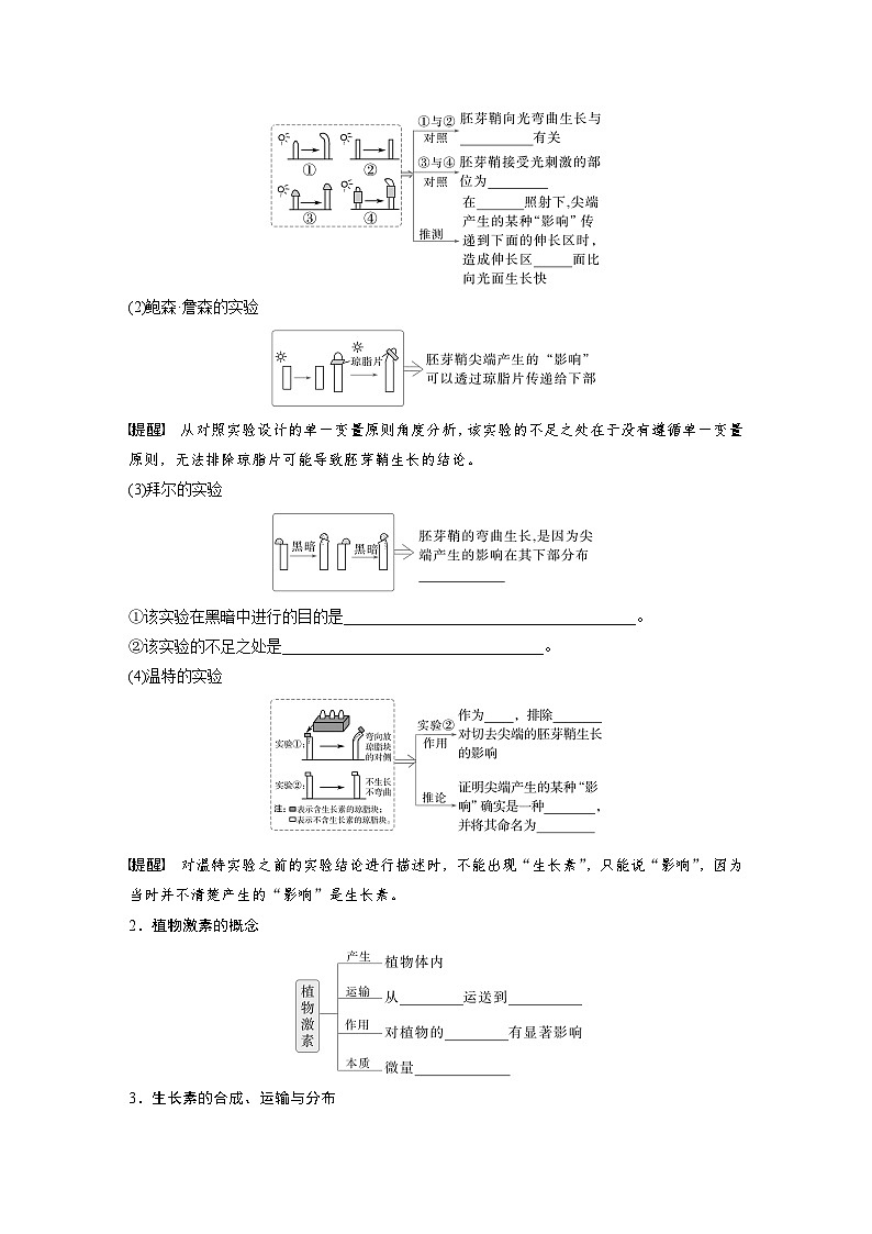 第八单元　第44课时　植物生长素-2025年高考生物大一轮复习（课件+讲义+练习）02