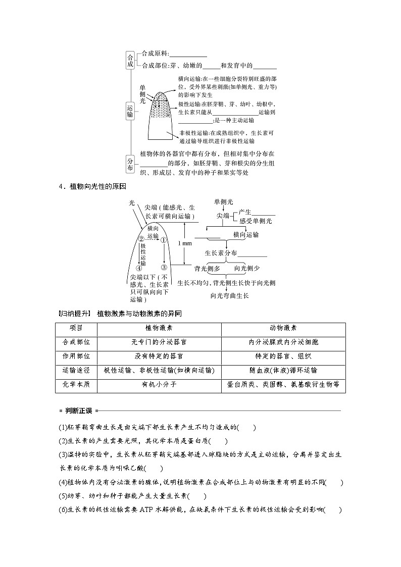 第八单元　第44课时　植物生长素-2025年高考生物大一轮复习（课件+讲义+练习）03
