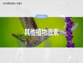 第八单元　第45课时　其他植物激素-2025年高考生物大一轮复习（课件+讲义+练习）