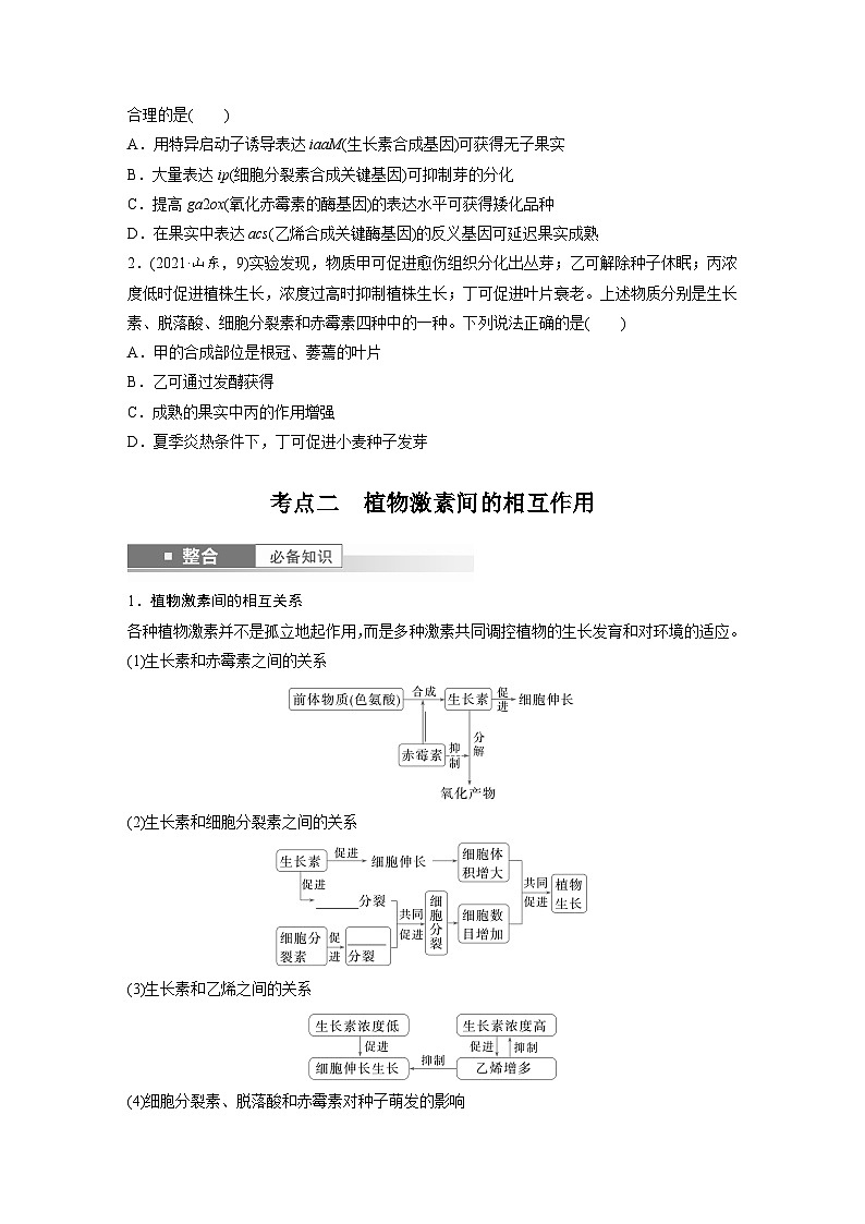 第八单元　第45课时　其他植物激素-2025年高考生物大一轮复习（课件+讲义+练习）学生版第3页