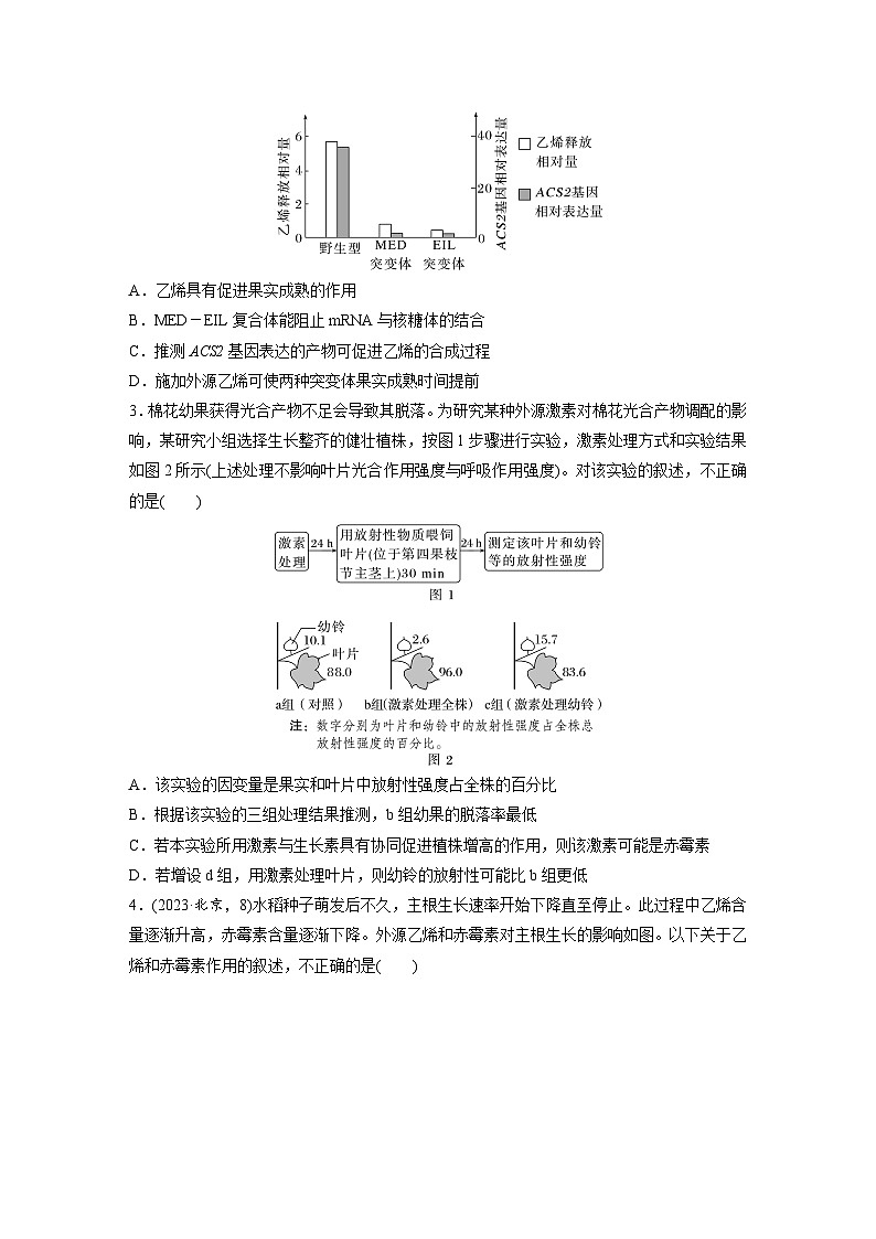 第八单元　课时练45　其他植物激素-2025年高考生物大一轮复习（课件+讲义+练习）专练第2页