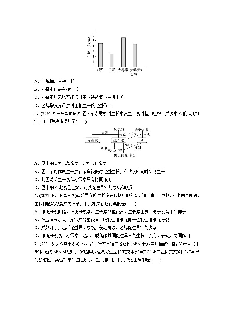 第八单元　课时练45　其他植物激素-2025年高考生物大一轮复习（课件+讲义+练习）专练第3页
