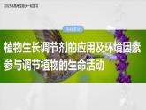 第八单元　第46课时　植物生长调节剂的应用及环境因素参与调节植物的生命活动-2025年高考生物大一轮复习（课件+讲义+练习）