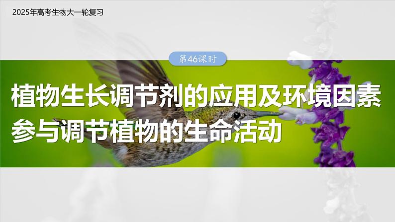 第八单元　第46课时　植物生长调节剂的应用及环境因素参与调节植物的生命活动-2025年高考生物大一轮复习（课件+讲义+练习）03