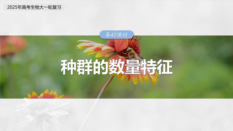 第九单元　第47课时　种群的数量特征-2025年高考生物大一轮复习（课件+讲义+练习）03