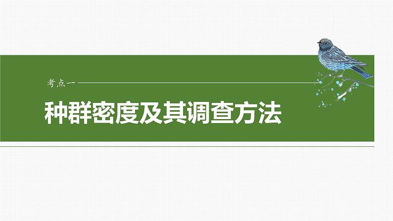 第九单元　第47课时　种群的数量特征-2025年高考生物大一轮复习（课件+讲义+练习）06