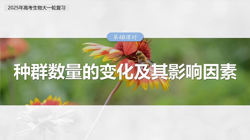 第九单元　第48课时　种群数量的变化及其影响因素-2025年高考生物大一轮复习（课件+讲义+练习）03