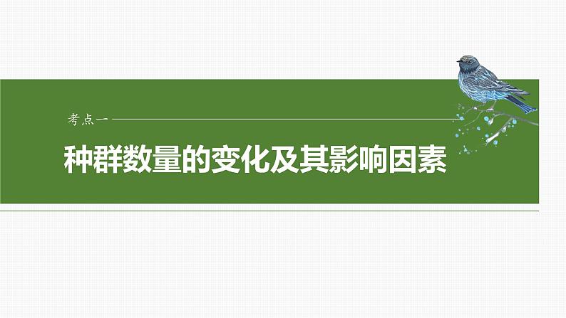 第九单元　第48课时　种群数量的变化及其影响因素-2025年高考生物大一轮复习（课件+讲义+练习）06