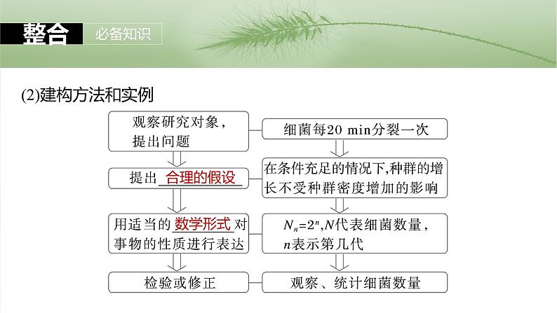 第九单元　第48课时　种群数量的变化及其影响因素-2025年高考生物大一轮复习（课件+讲义+练习）08