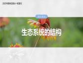 第九单元　第51课时　生态系统的结构-2025年高考生物大一轮复习（课件+讲义+练习）