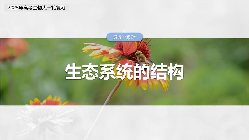 第九单元　第51课时　生态系统的结构-2025年高考生物大一轮复习（课件+讲义+练习）03