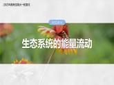 第九单元　第52课时　生态系统的能量流动-2025年高考生物大一轮复习（课件+讲义+练习）