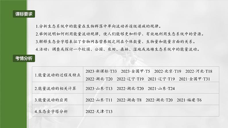 第九单元　第52课时　生态系统的能量流动-2025年高考生物大一轮复习（课件+讲义+练习）04