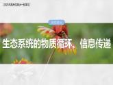 第九单元　第53课时　生态系统的物质循环、信息传递-2025年高考生物大一轮复习（课件+讲义+练习）