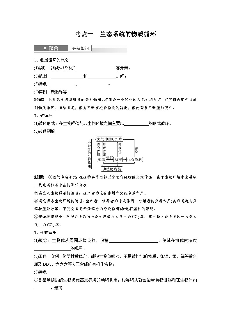 第九单元　第53课时　生态系统的物质循环、信息传递-2025年高考生物大一轮复习（课件+讲义+练习）02