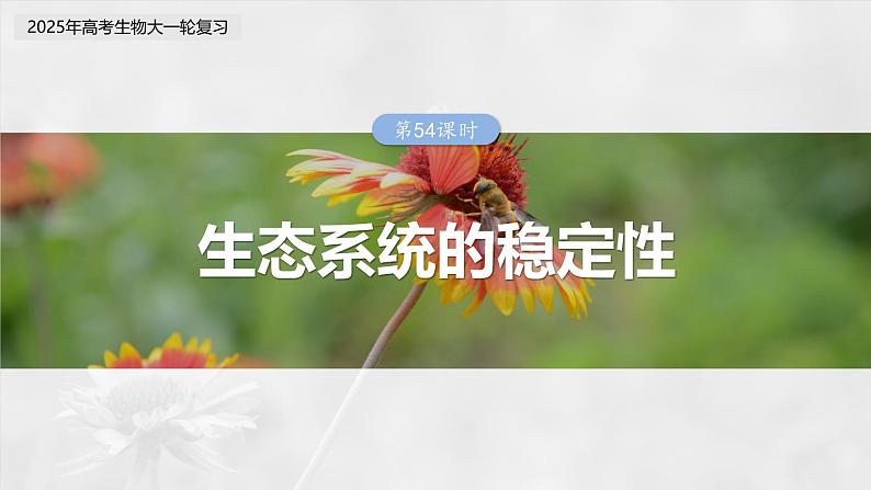 第九单元　第54课时　生态系统的稳定性-2025年高考生物大一轮复习（课件+讲义+练习）03