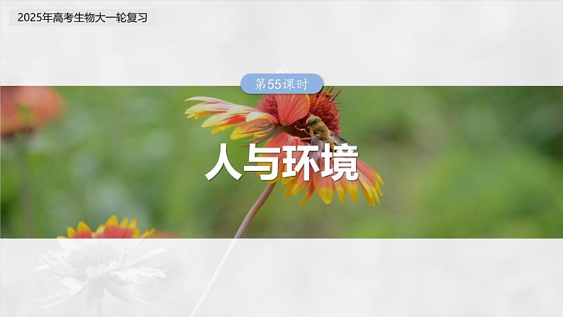 第九单元　第55课时　人与环境-2025年高考生物大一轮复习（课件+讲义+练习）03