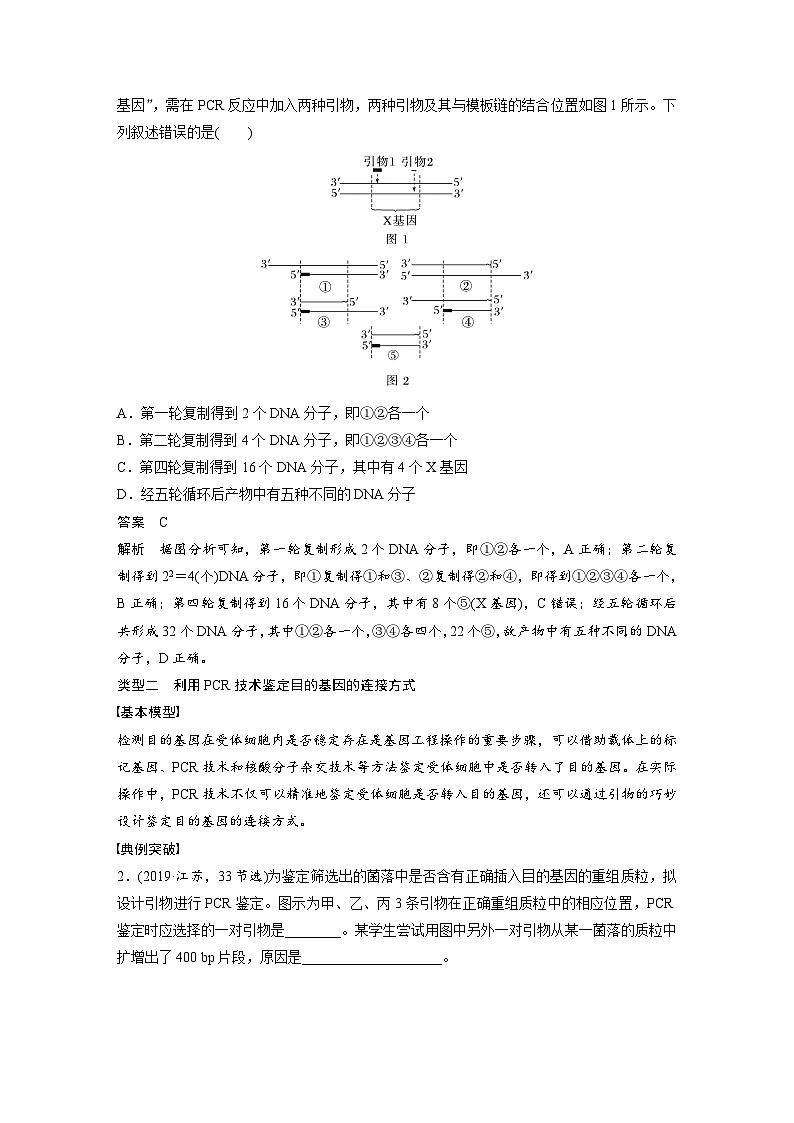 第十单元　专题突破10　综合PCR的基因工程问题-2025年高考生物大一轮复习（课件+讲义+练习）02