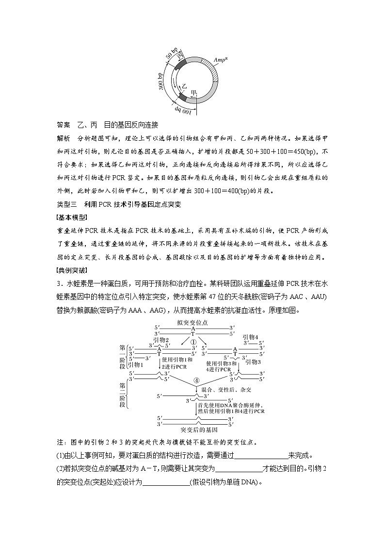 第十单元　专题突破10　综合PCR的基因工程问题-2025年高考生物大一轮复习（课件+讲义+练习）03