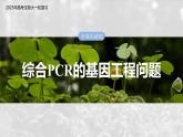 第十单元　专题突破10　综合PCR的基因工程问题-2025年高考生物大一轮复习（课件+讲义+练习）