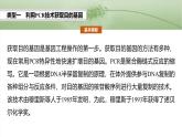 第十单元　专题突破10　综合PCR的基因工程问题-2025年高考生物大一轮复习（课件+讲义+练习）
