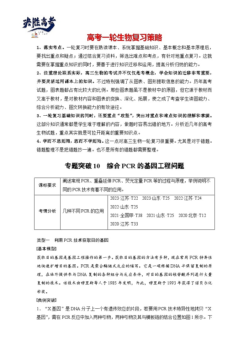 第十单元　专题突破10　综合PCR的基因工程问题-2025年高考生物大一轮复习（课件+讲义+练习）01