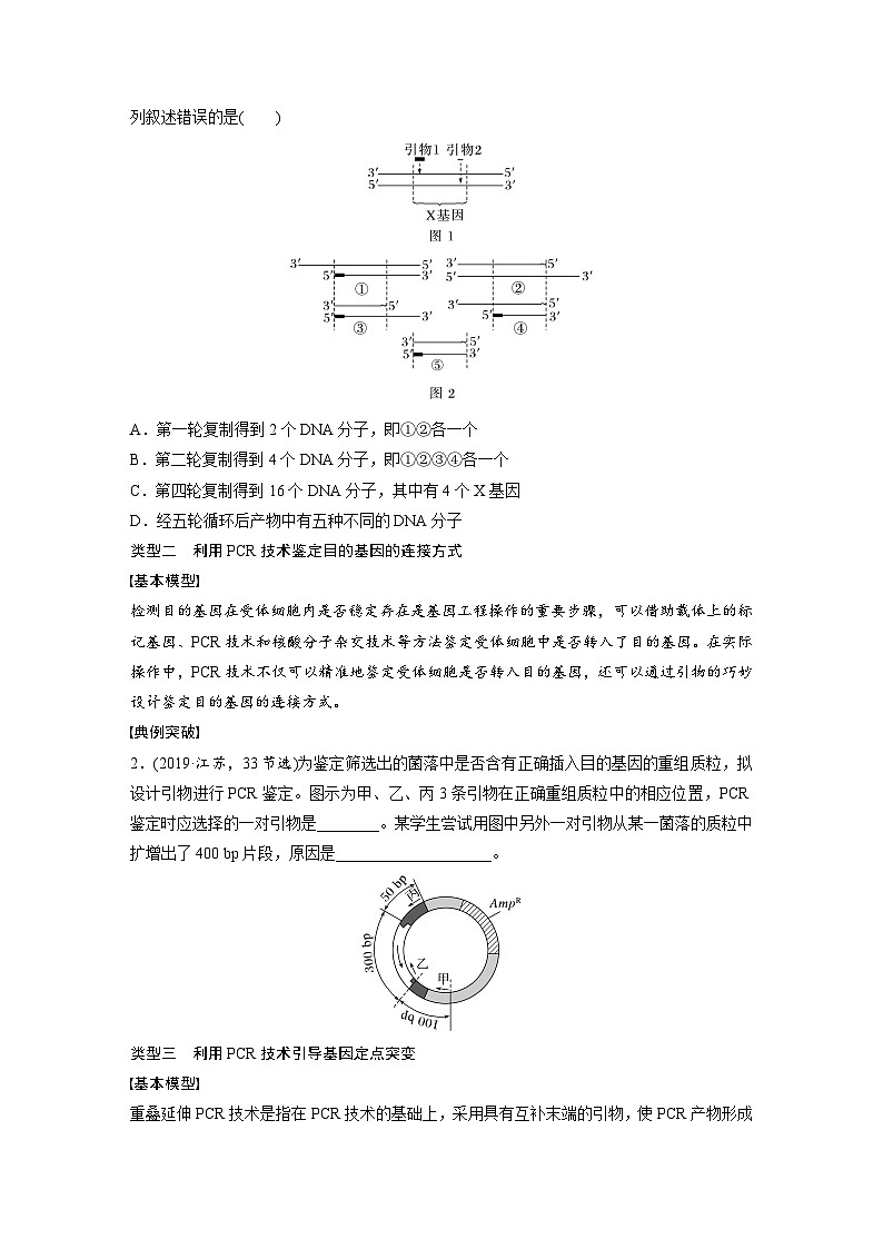 第十单元　专题突破10　综合PCR的基因工程问题-2025年高考生物大一轮复习（课件+讲义+练习）02