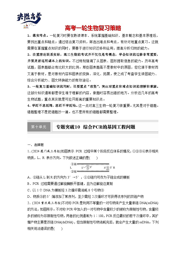 第十单元　专题突破10　综合PCR的基因工程问题-2025年高考生物大一轮复习（课件+讲义+练习）01