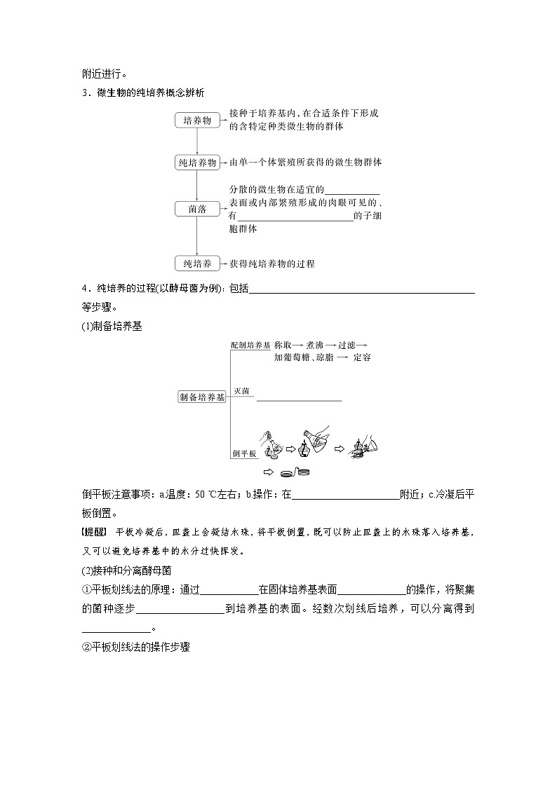第十单元　第57课时　微生物的培养技术与应用-2025年高考生物大一轮复习（课件+讲义+练习）学生版第3页