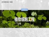 第十单元　第58课时　植物细胞工程-2025年高考生物大一轮复习（课件+讲义+练习）