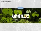 第十单元　第59课时　动物细胞工程-2025年高考生物大一轮复习（课件+讲义+练习）