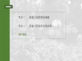 第十单元　第60课时　胚胎工程-2025年高考生物大一轮复习（课件+讲义+练习）